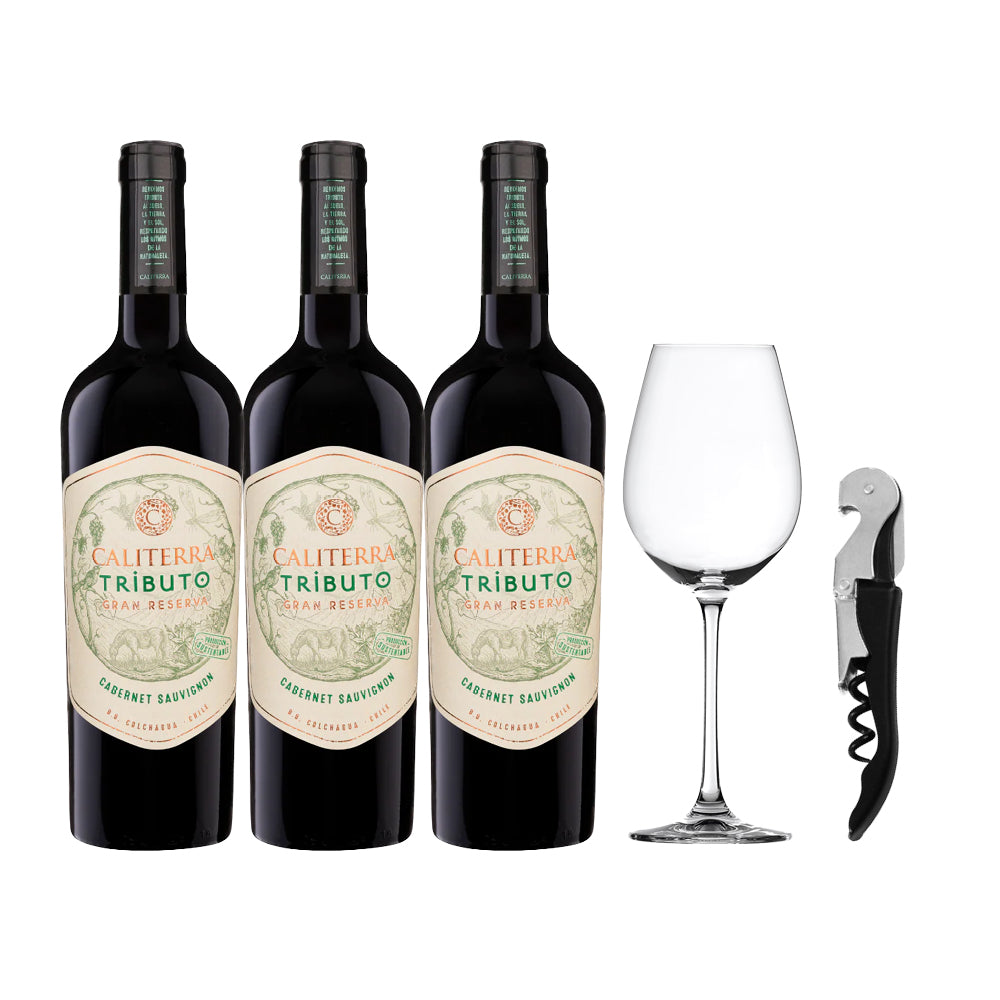 Pack 3 Vino Caliterra Tributo + Copa + Descorchador