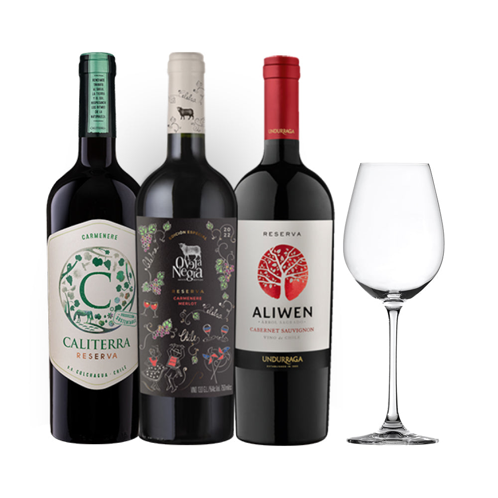 Arma tu Pack - 3 Vinos Reserva Oveja Negra / Aliwen / Caliterra 750cc + Copa de Regalo