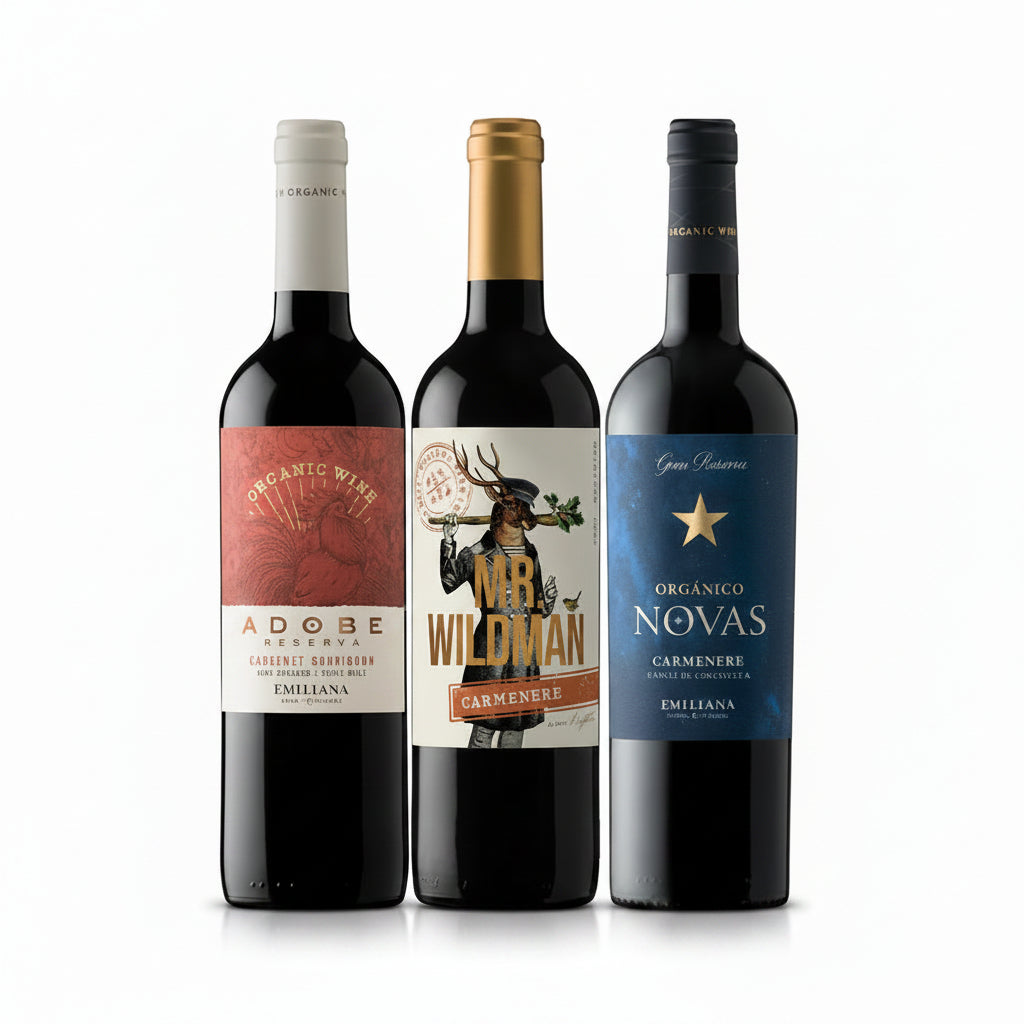 Arma tu Pack - 3x Vinos Adobe / Novas / Mr. Wildman 750cc