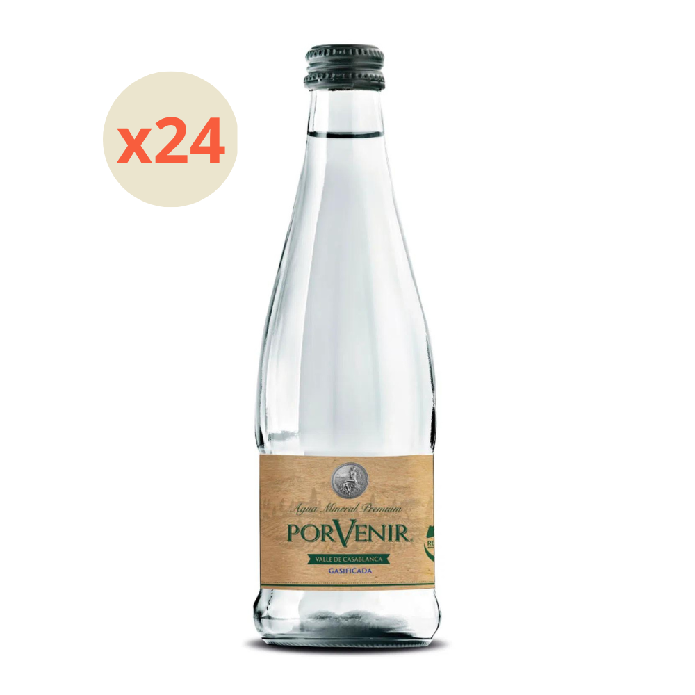 24x Agua Mineral Porvenir Con Gas Botella Vidrio 330cc