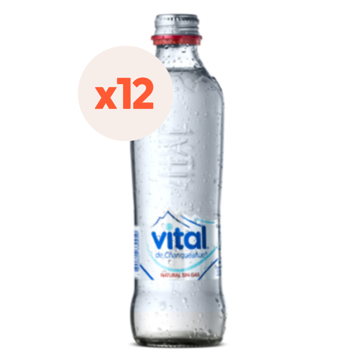 12x Agua Vital Sin Gas Botella Vidrio 330cc