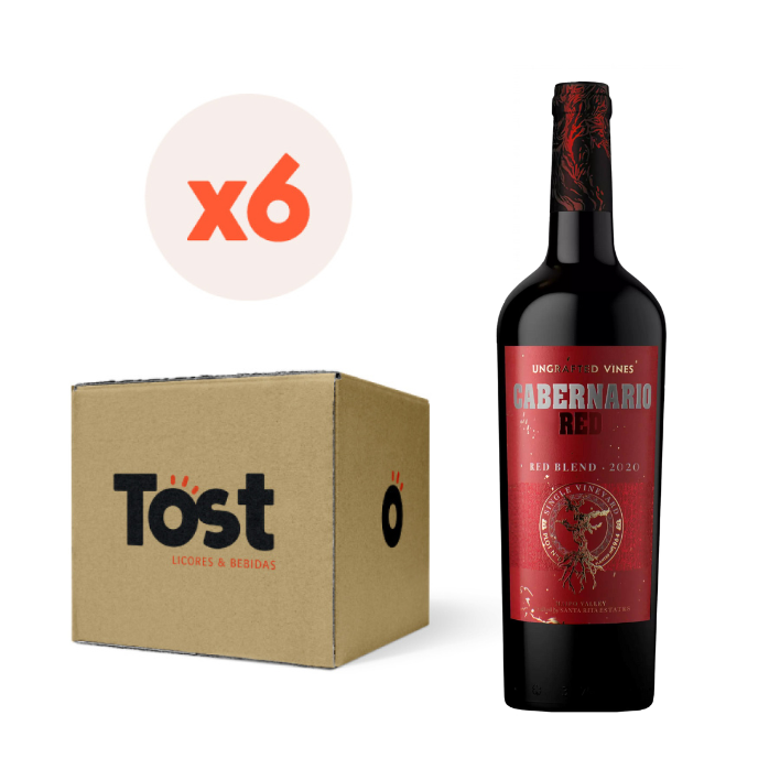 6x Vino Cabernario Red Blend 750cc