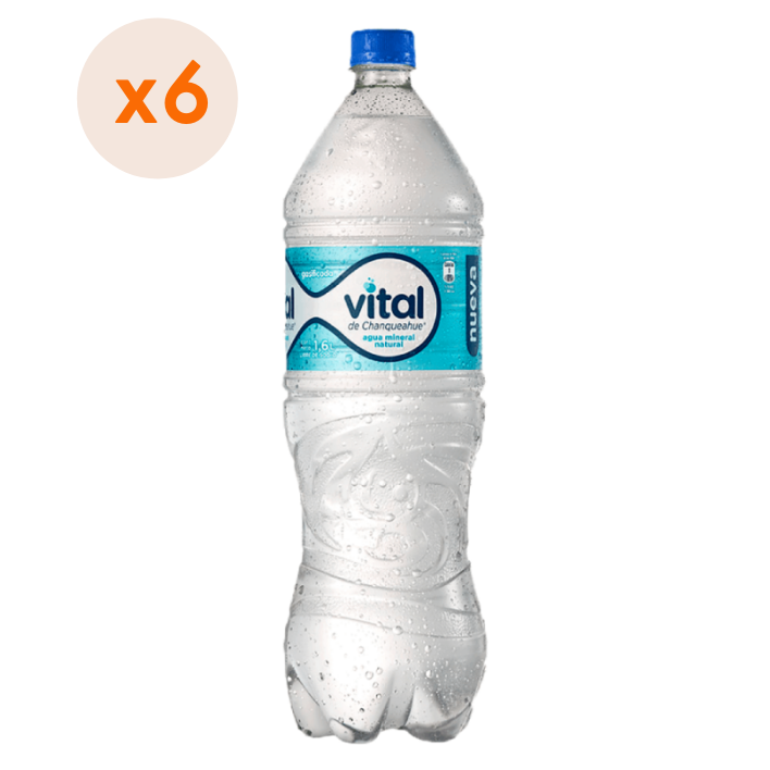 6x Agua Purificada Vital Con Gas Desechable 1600cc