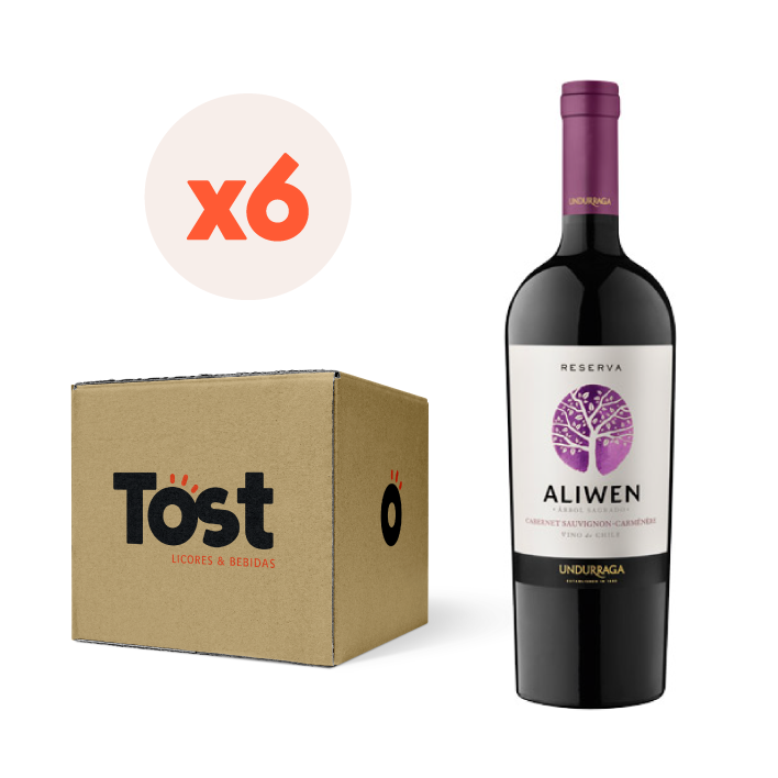 6x Vino Aliwen Reserva Cepas 750cc