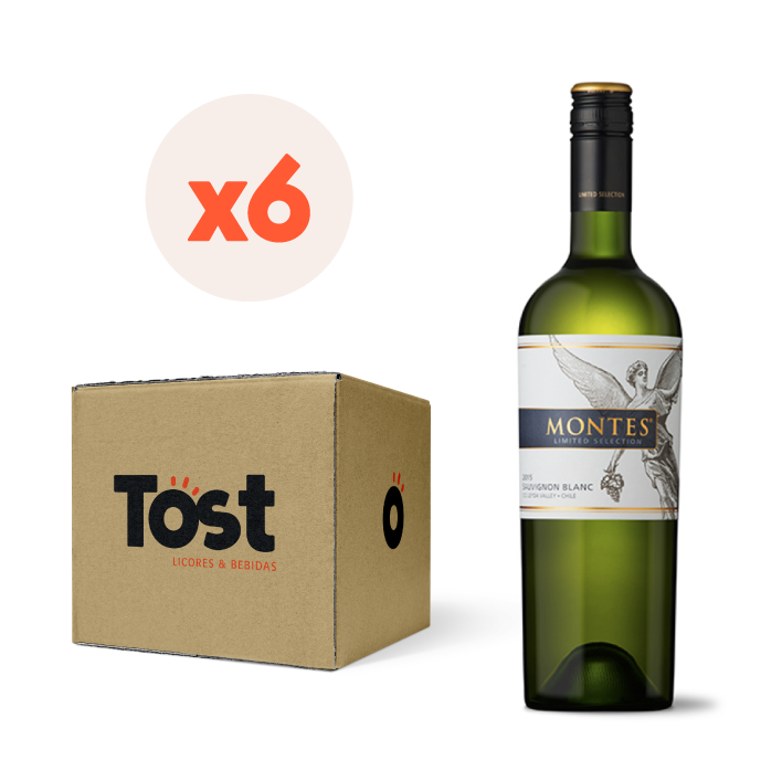 6x Vino Montes Classic Sauvignon Blanc 750cc