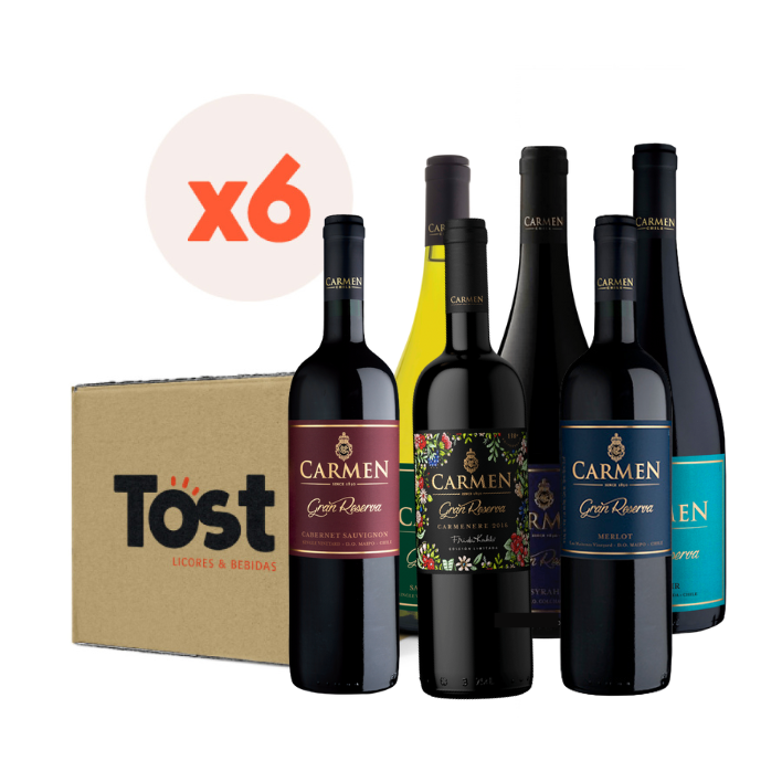 6x Mix Vinos Carmen Gran Reserva 750cc