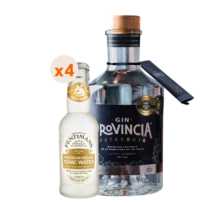 Gin Provincia Patagonia 700cc 43° + 4 Agua Tónica Fentimans