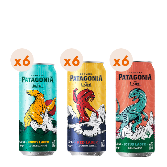 18x Pack Patagonia Mix Latas