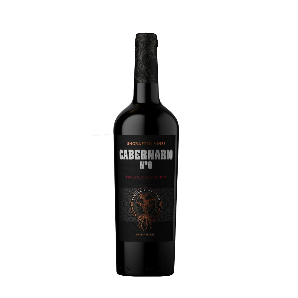 Vino Cabernario Cabernet Sauvignon 750 cc