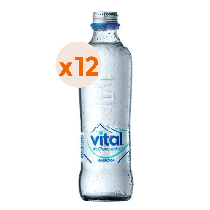 12x Agua Vital Con Gas Botella Vidrio 330cc